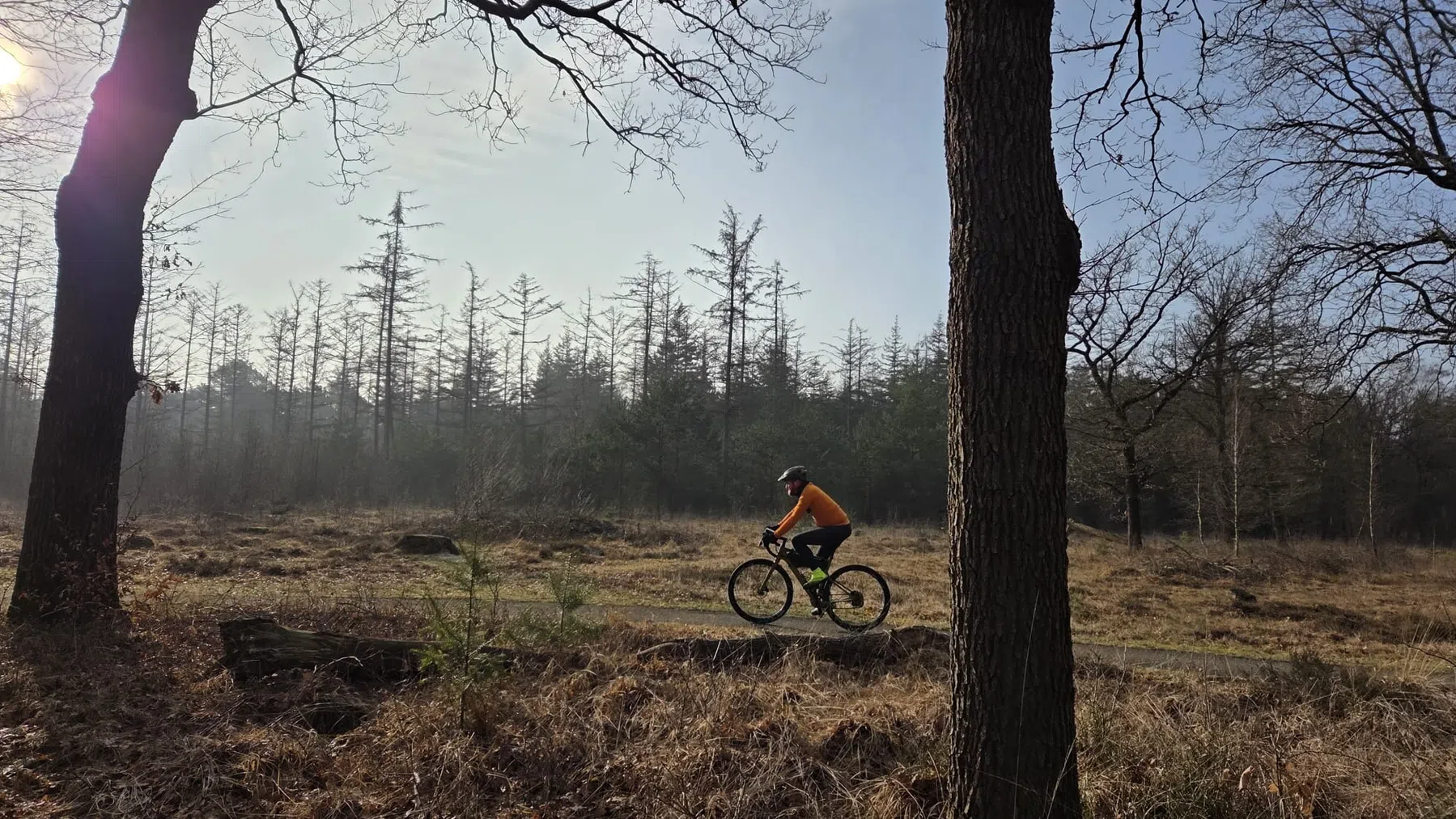 Gravel op de Utrechtse Heuvelrug bij Austerlitz